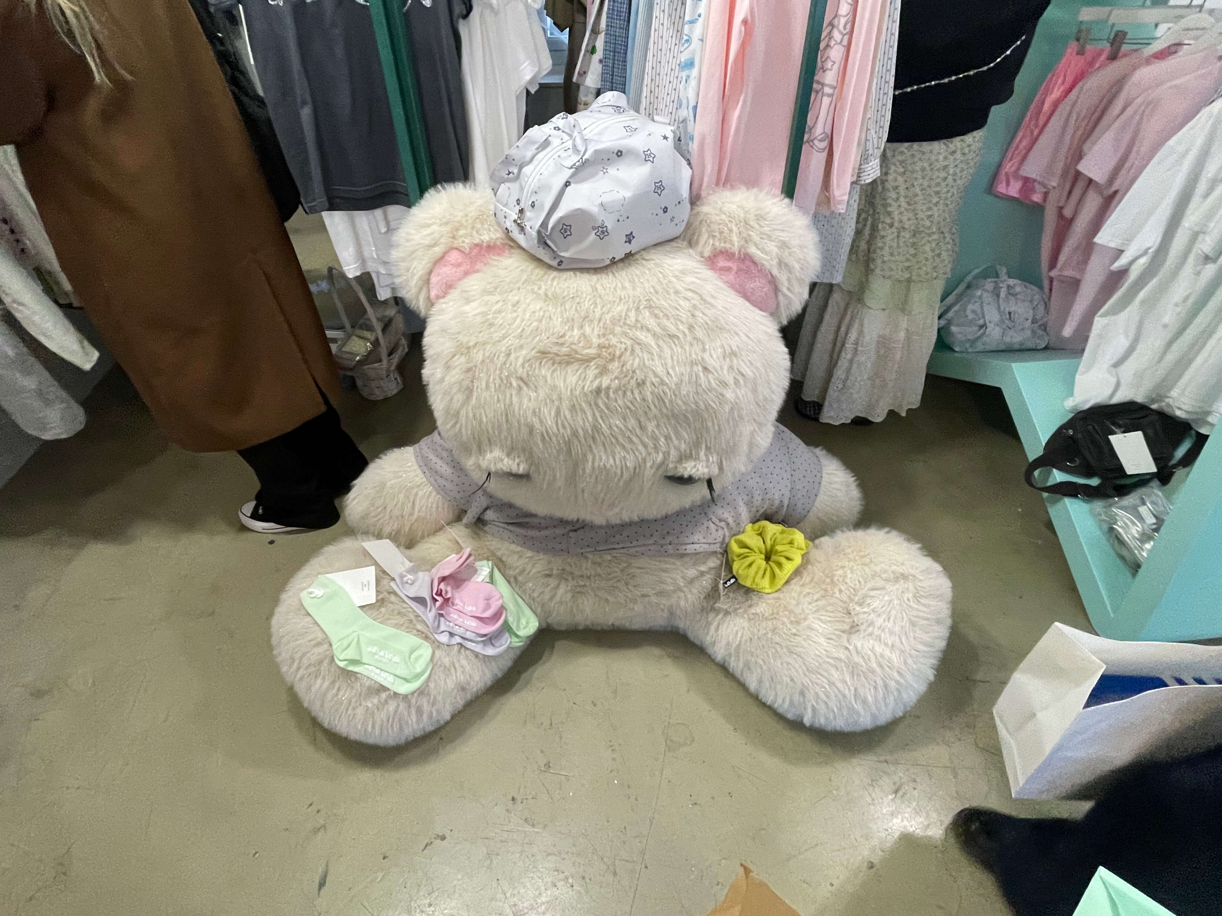 写真